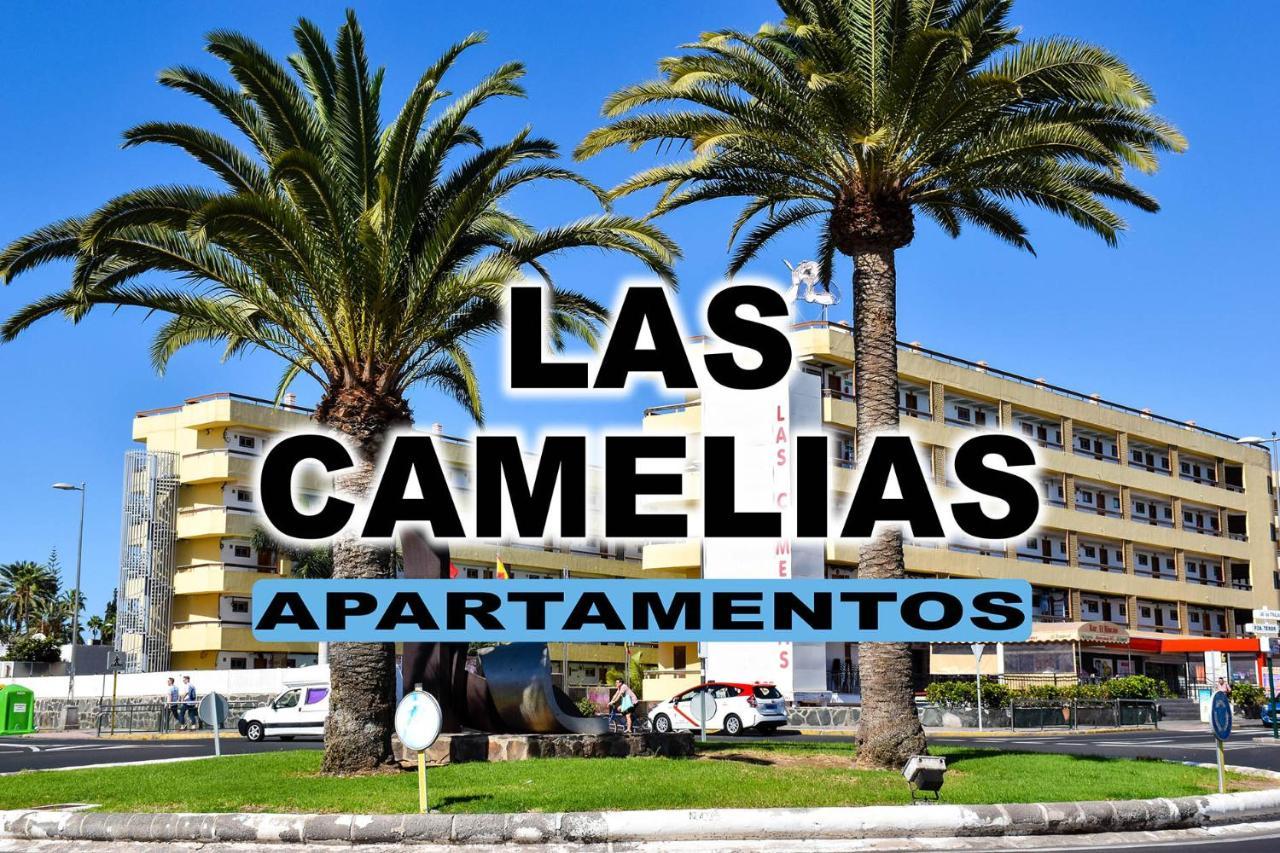 פלאייה דל אינגלז Las Camelias Apartments מראה חיצוני תמונה