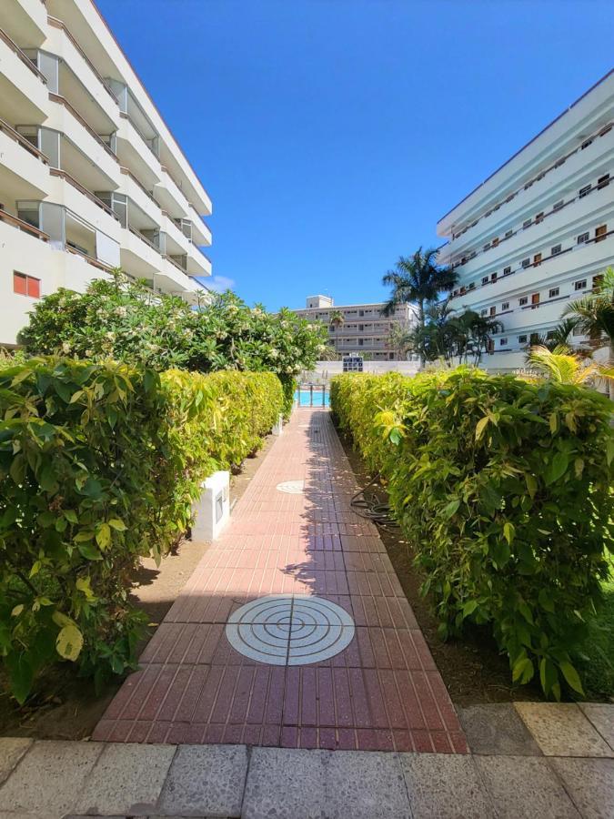 פלאייה דל אינגלז Las Camelias Apartments מראה חיצוני תמונה