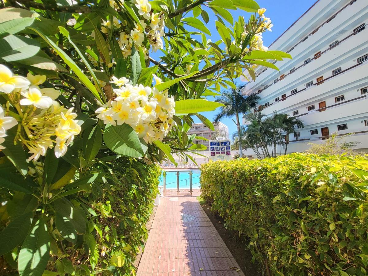 פלאייה דל אינגלז Las Camelias Apartments מראה חיצוני תמונה