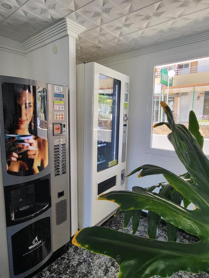 פלאייה דל אינגלז Las Camelias Apartments מראה חיצוני תמונה