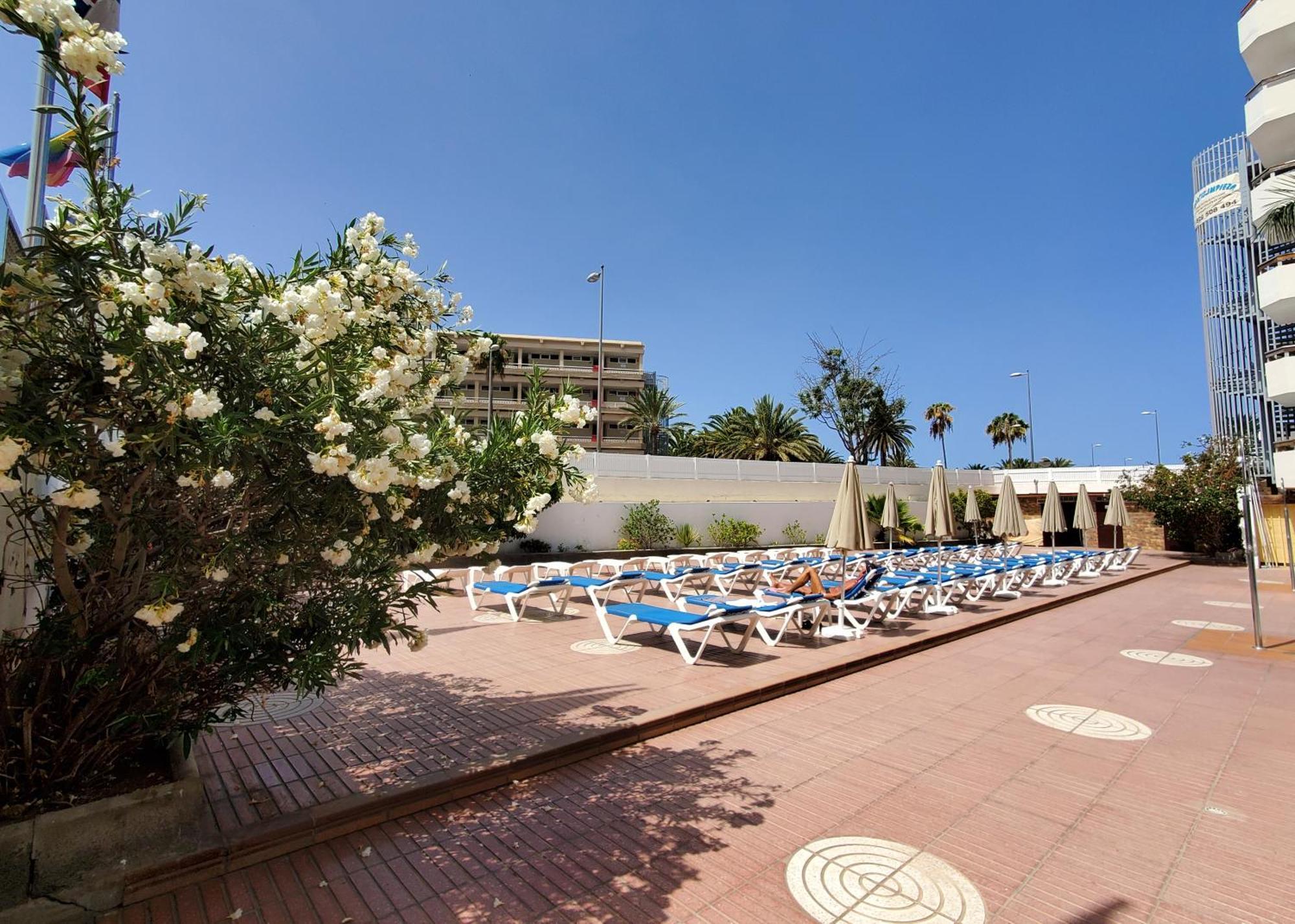 פלאייה דל אינגלז Las Camelias Apartments מראה חיצוני תמונה