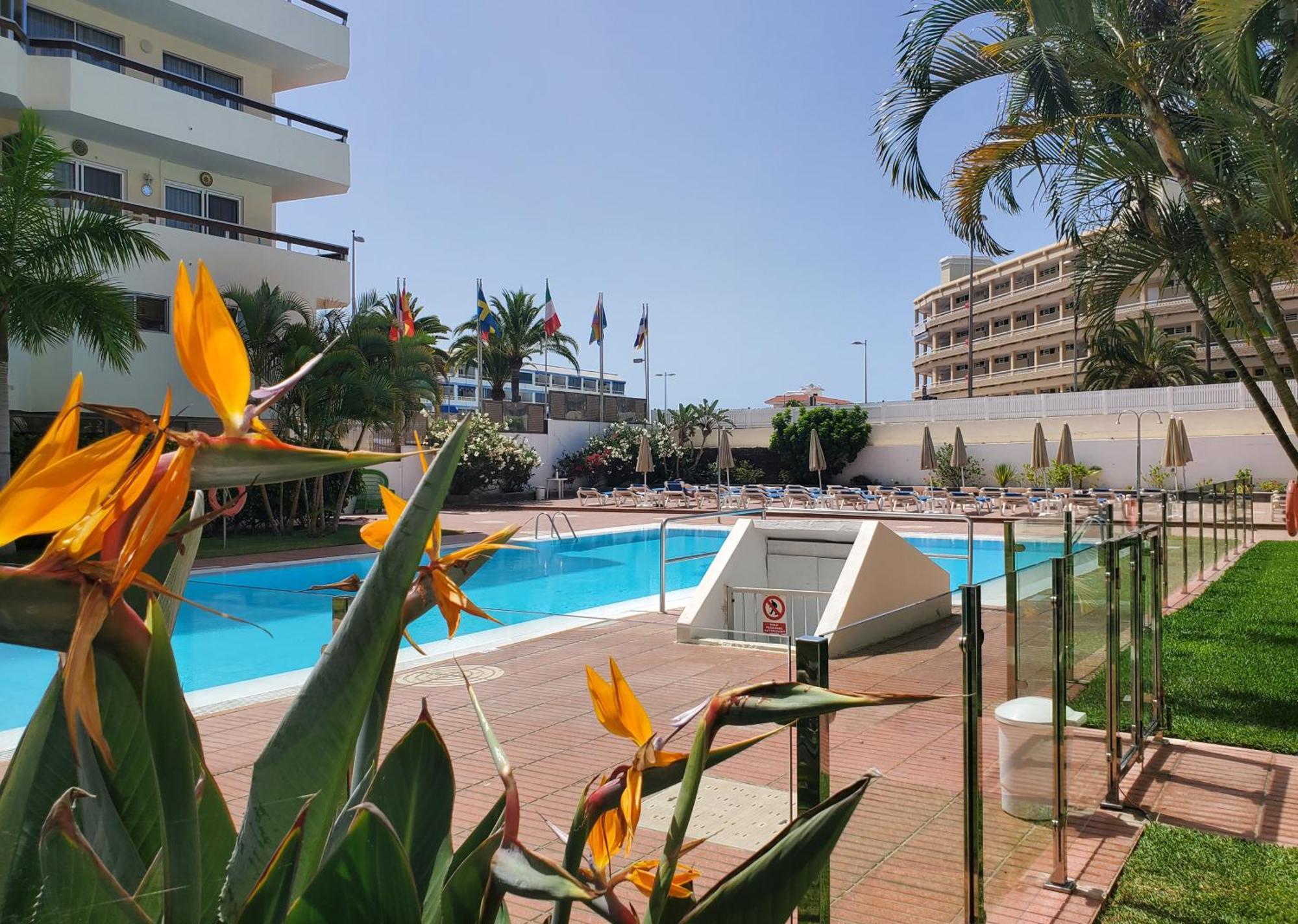 פלאייה דל אינגלז Las Camelias Apartments מראה חיצוני תמונה